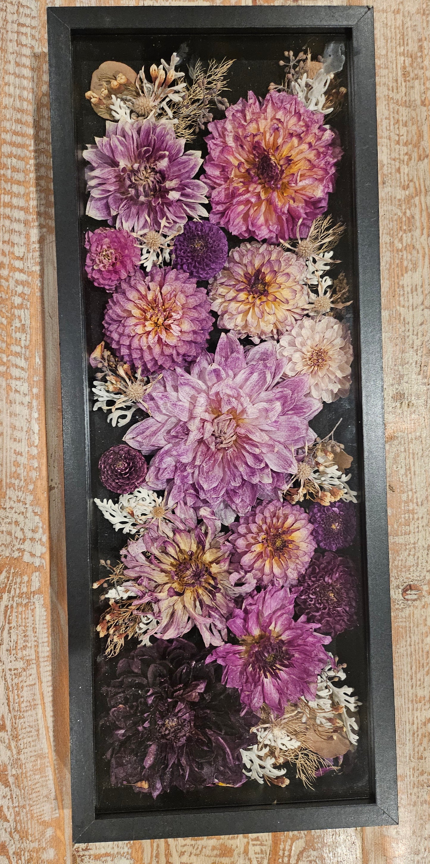 Heidi's Creation- Dried Dahlia Arrangements in Shadow Boxes