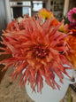 Cebu Dahlia Tuber