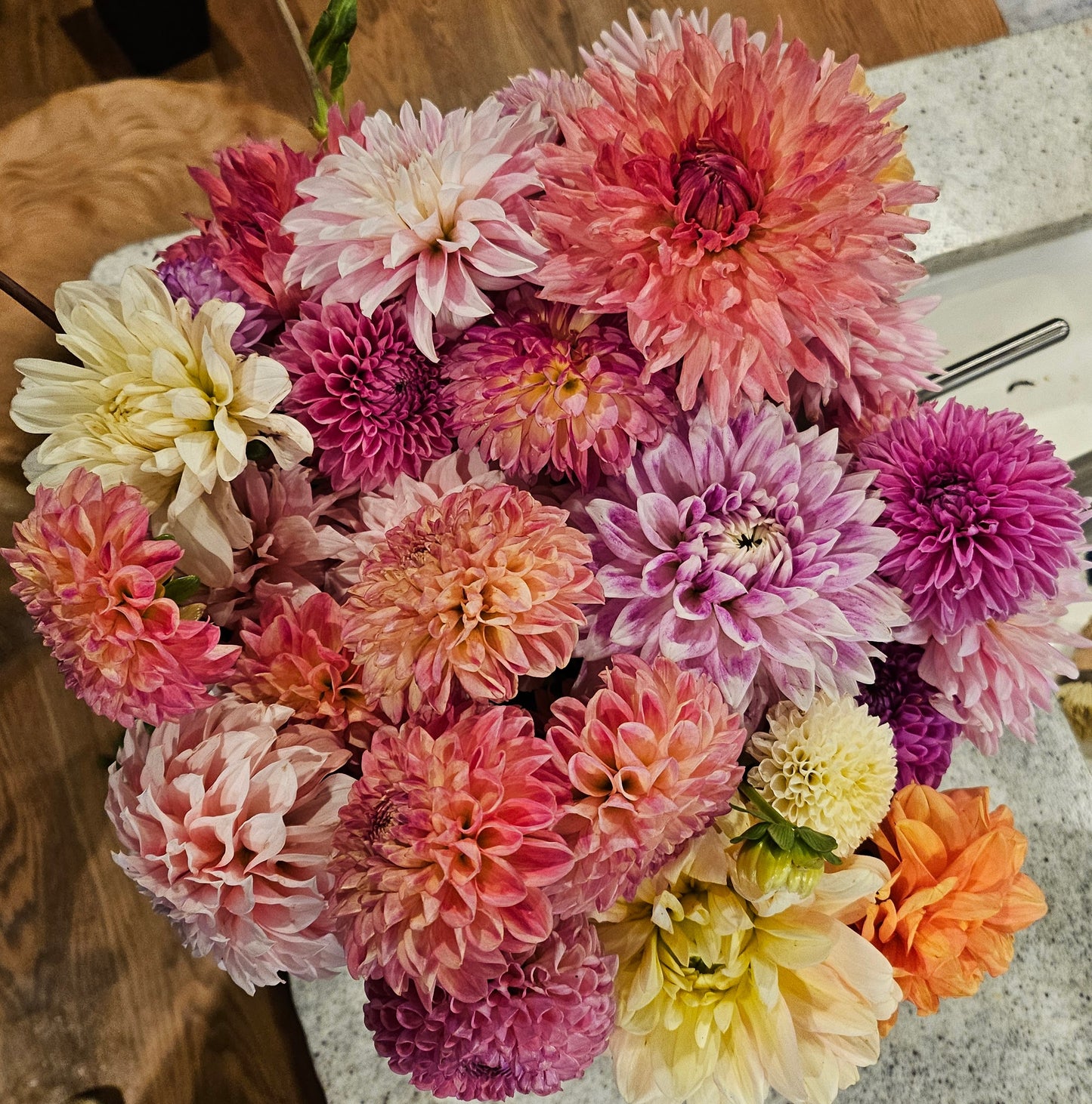 Florist's Special of Fresh Cut DAHLIA's