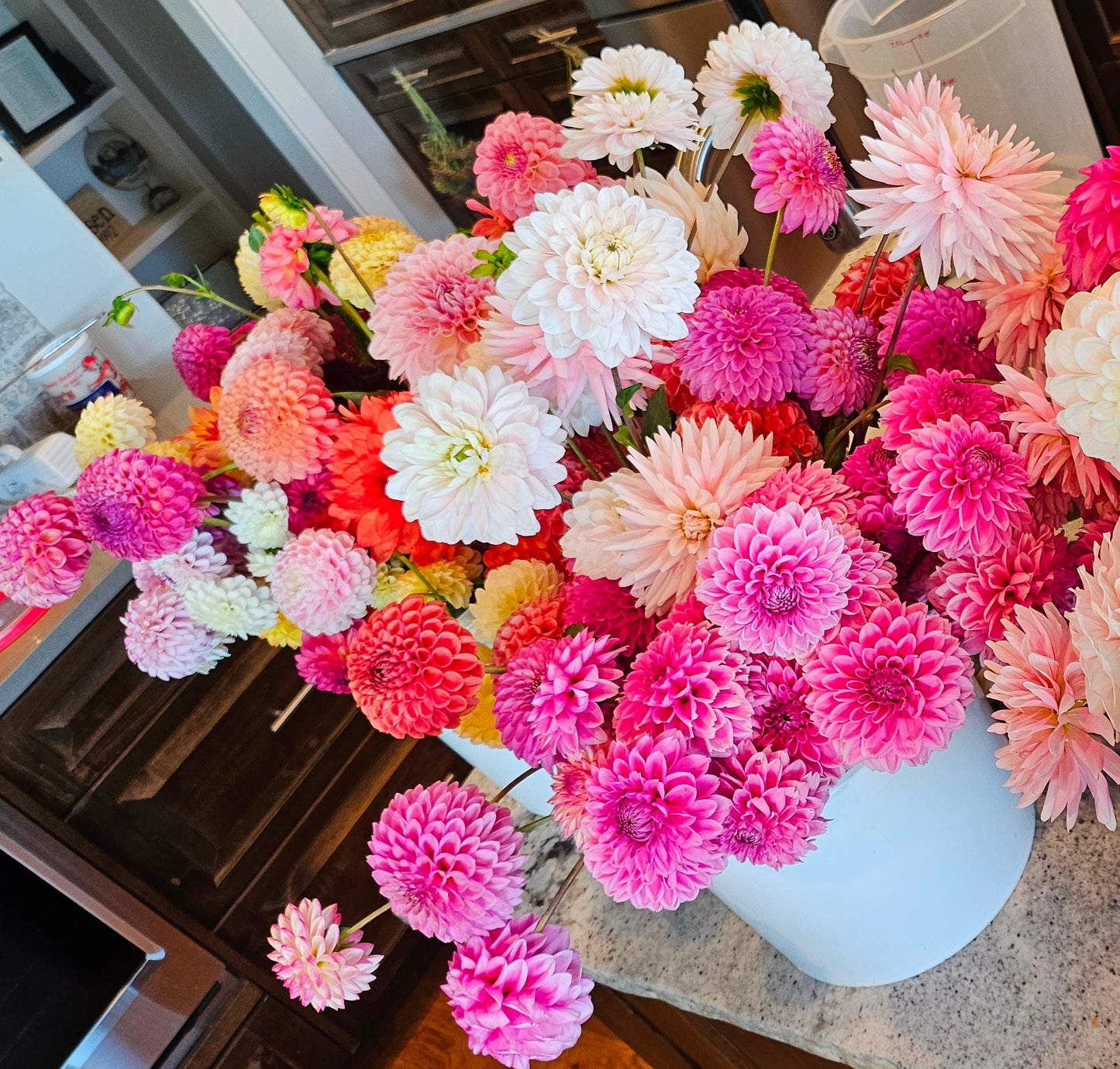 Florist's Special of Fresh Cut DAHLIA's