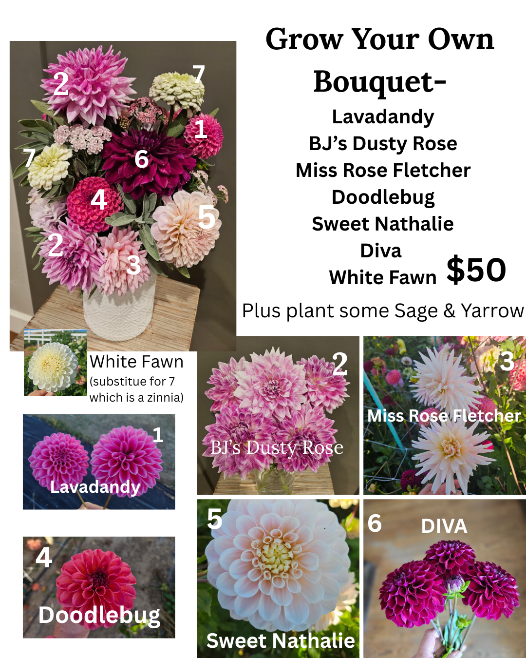 BUNDLE- Grow Your Own Bouquet with 7 dahlia tubers