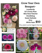 BUNDLE- Grow Your Own Bouquet with 7 dahlia tubers